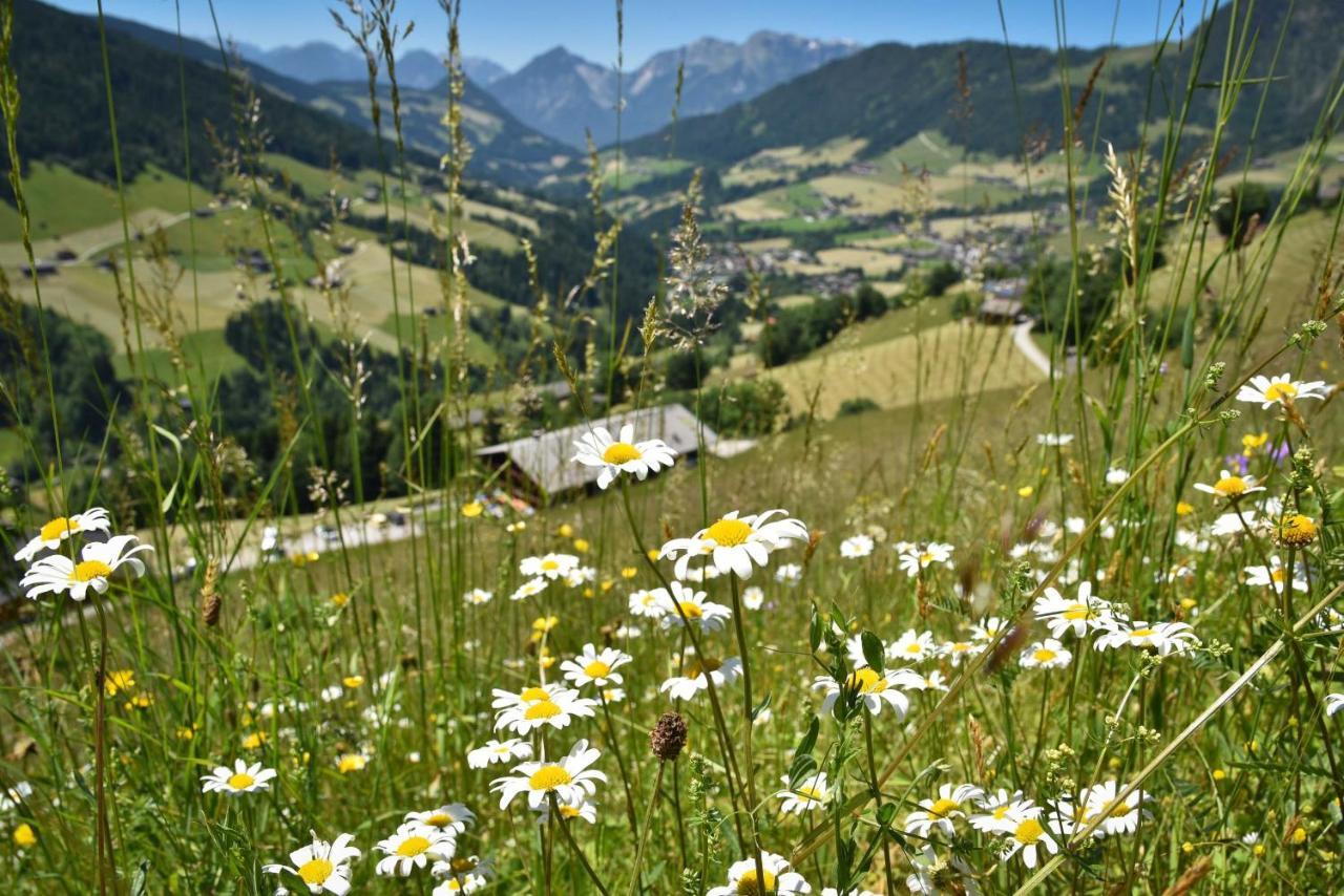 Ferienwohnung Haus Dorferstuck Alpbach Exterior foto